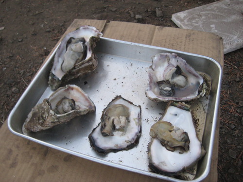f0013998_23243229.jpg