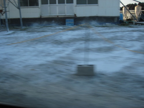f0013998_23245269.jpg