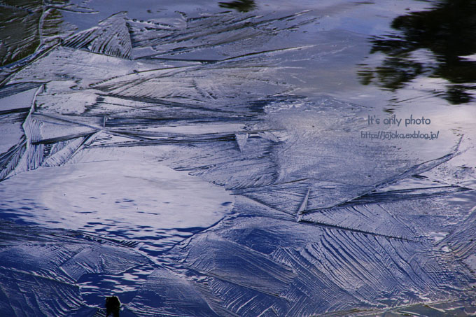 e0008800_16175825.jpg