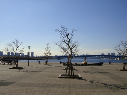 a0167803_946489.jpg