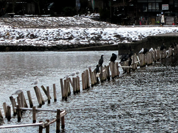 a0154706_183166.jpg