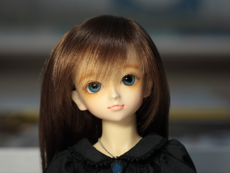 SDB/教室Bヘッド U-24-11-12-211-TN-ZU 引き取っ