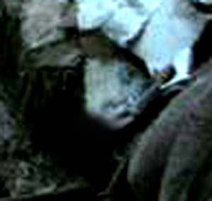 e0103408_19294125.jpg
