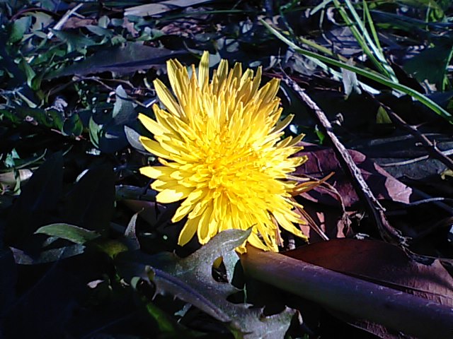 f0231709_1604748.jpg