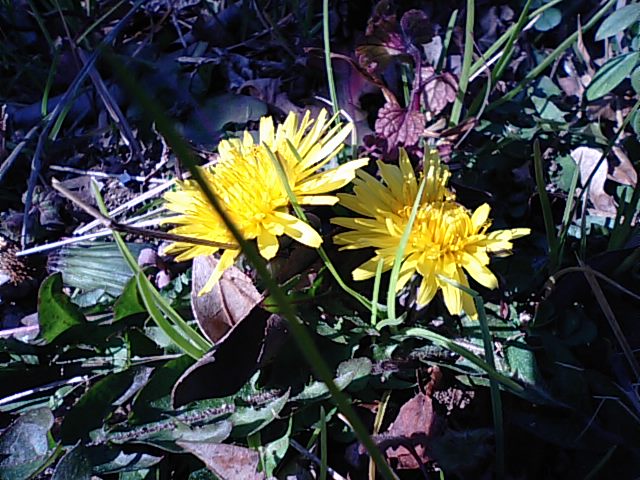 f0231709_1611974.jpg