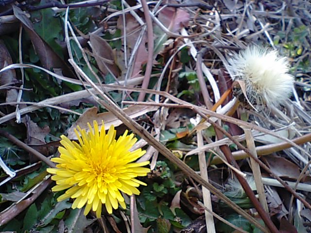 f0231709_1614048.jpg