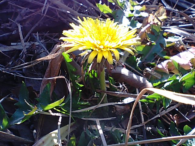 f0231709_162072.jpg