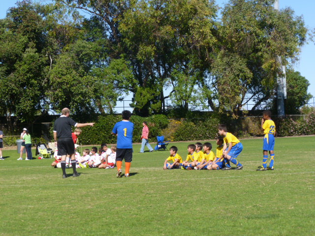 a0144811_8325740.jpg