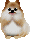 b0167519_9293023.gif