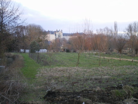 c0124619_7134575.jpg