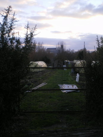 c0124619_7144221.jpg