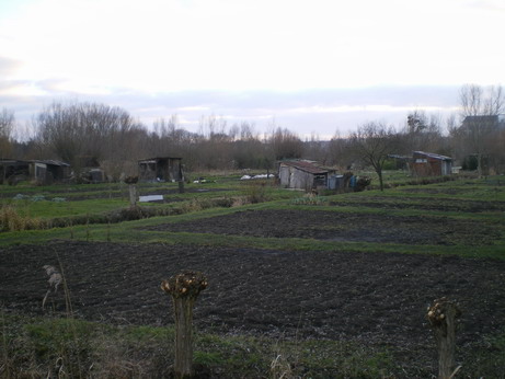 c0124619_7152922.jpg
