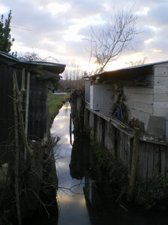 c0124619_7161887.jpg