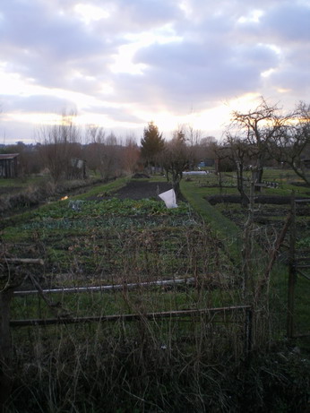 c0124619_7164216.jpg
