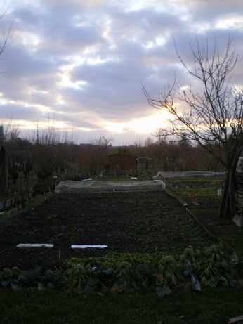 c0124619_7175096.jpg