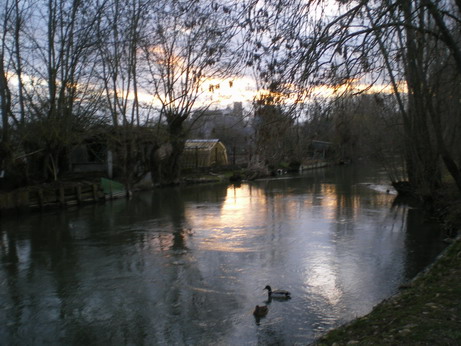 c0124619_7205480.jpg