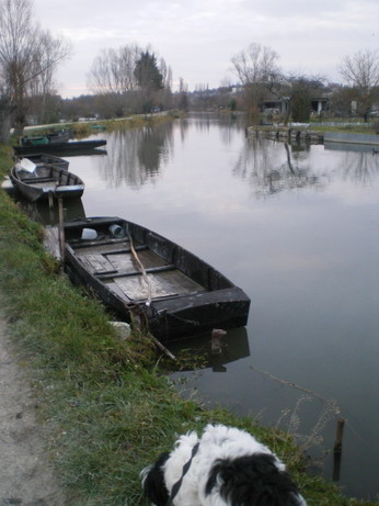 c0124619_722573.jpg