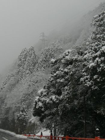 c0152123_1933146.jpg