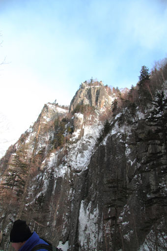 d0069235_113362.jpg