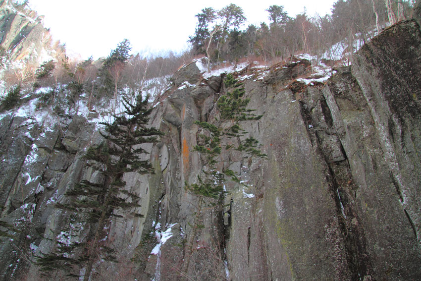d0069235_115847.jpg