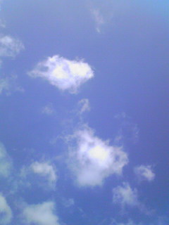 a0155838_16152877.jpg