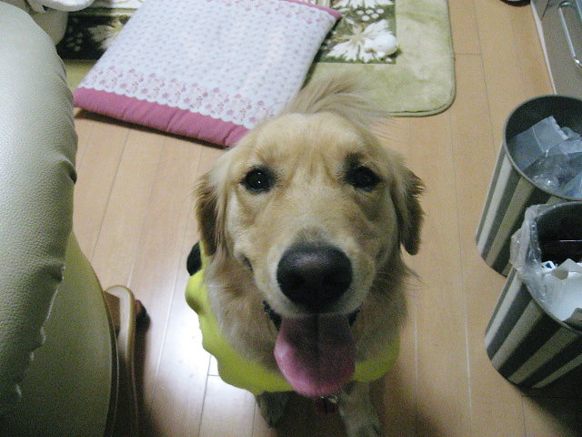 a0149240_10325685.jpg