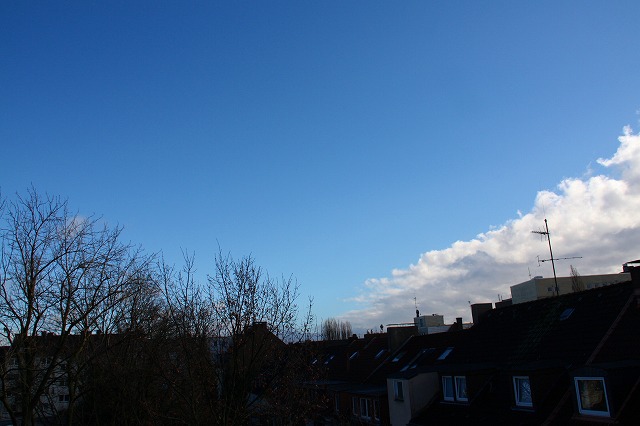 c0153740_3301419.jpg