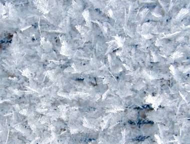 c0204740_21355576.jpg