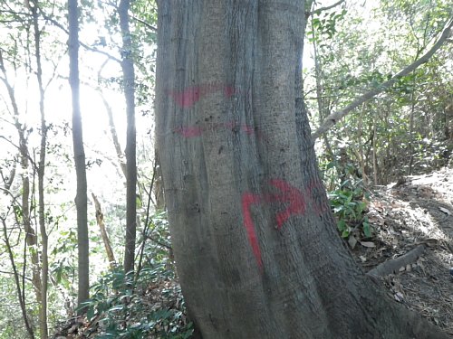 c0042847_1757118.jpg