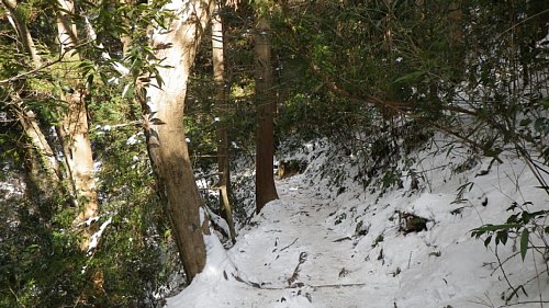 c0042847_18123227.jpg