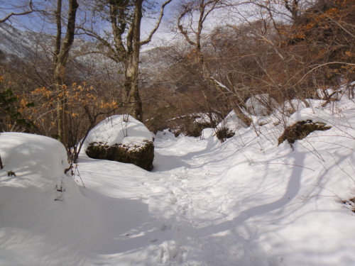 c0179351_1839053.jpg