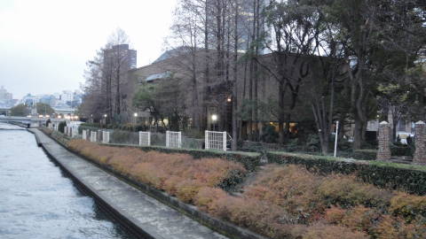 a0181459_16153012.jpg