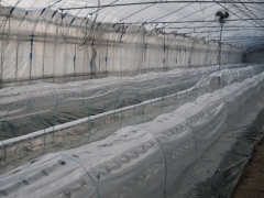 f0055264_18223936.jpg