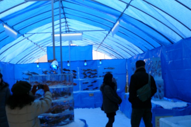 f0000866_10474935.jpg