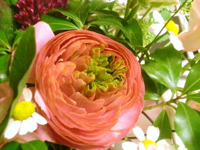 b0119969_20591183.jpg