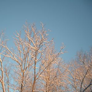 e0217871_1241408.jpg