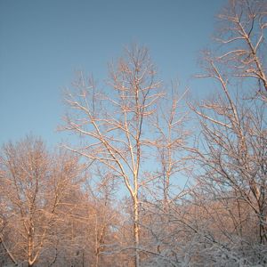 e0217871_12414444.jpg