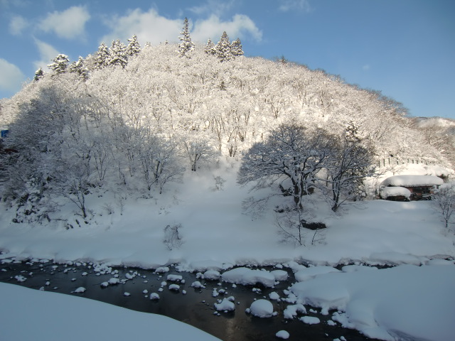 f0225473_2235445.jpg