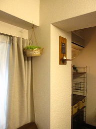 d0161578_17322631.jpg