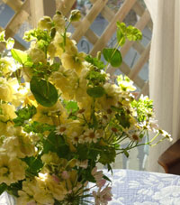 f0166982_20124939.jpg