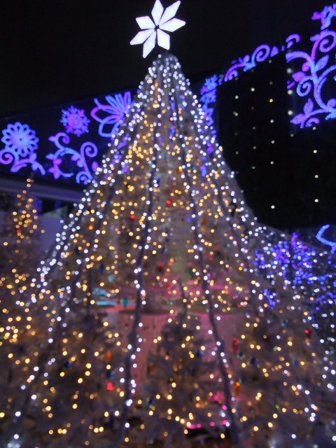 b0206085_14153636.jpg