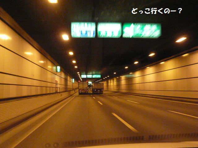 e0094407_15305877.jpg