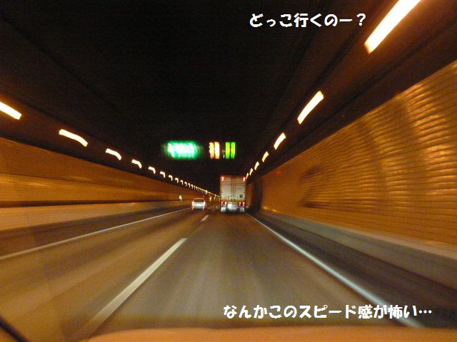 e0094407_15325524.jpg