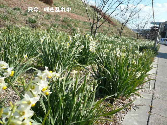 e0094407_1610228.jpg