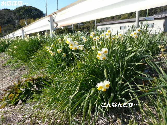 e0094407_17163021.jpg