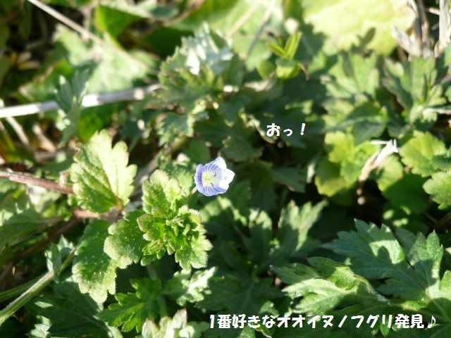 e0094407_1718770.jpg