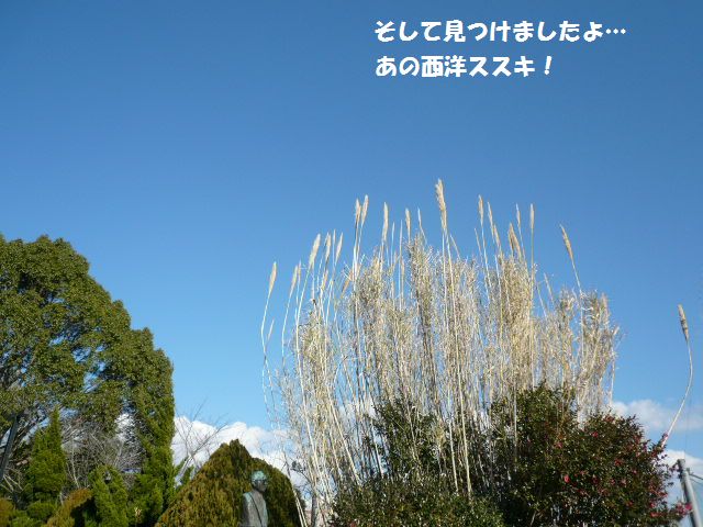 e0094407_17335157.jpg