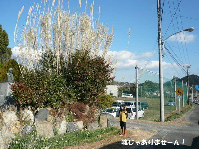 e0094407_17384896.jpg