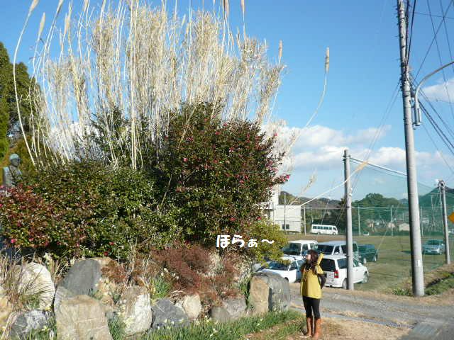 e0094407_17403711.jpg