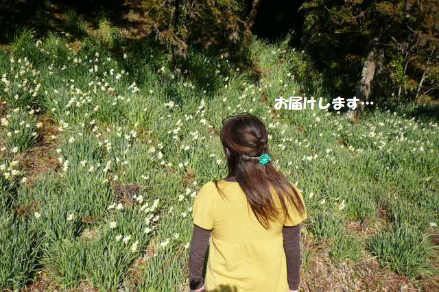e0094407_17422939.jpg